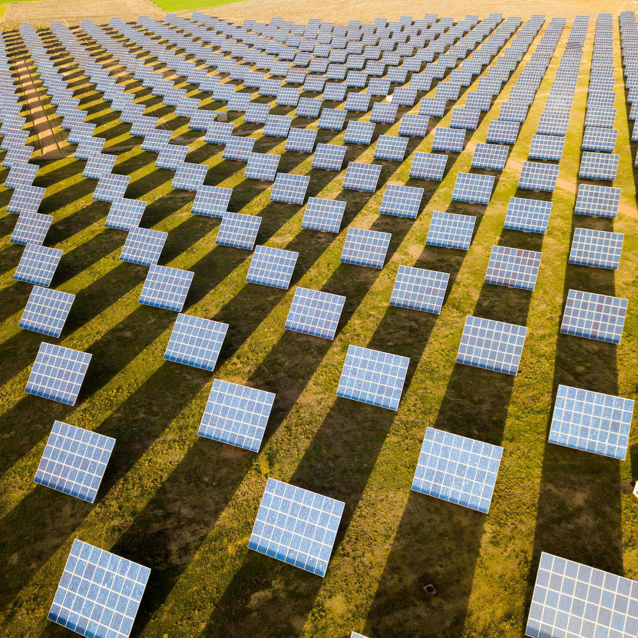Solar panels in a field.
