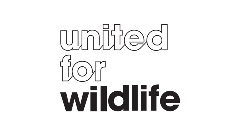United for Wildlife