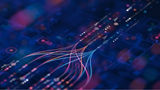 Connected portfolio